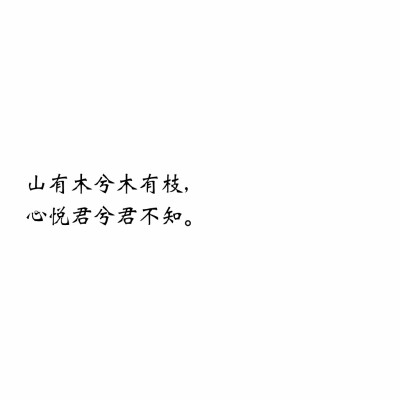 白底黑字文字