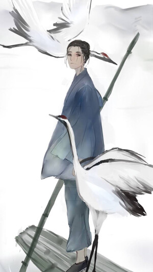 壁纸