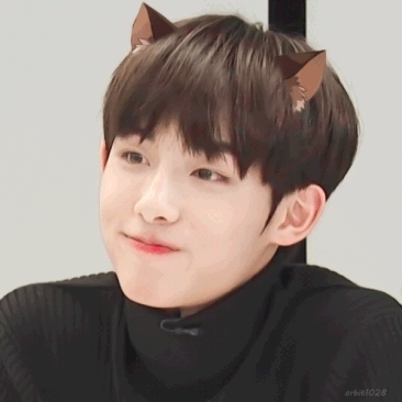 董思成小猫咪
vapp gif