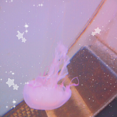 粉
我自己拍的皂片〔转载请注明♡