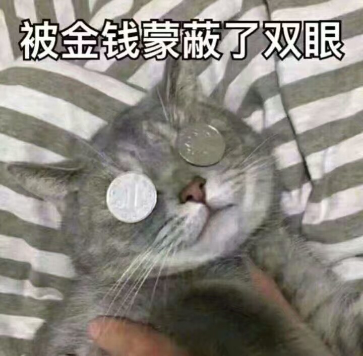 表情包耶耶耶