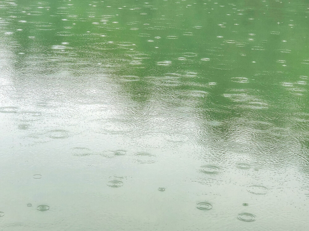 湖边听雨漫步