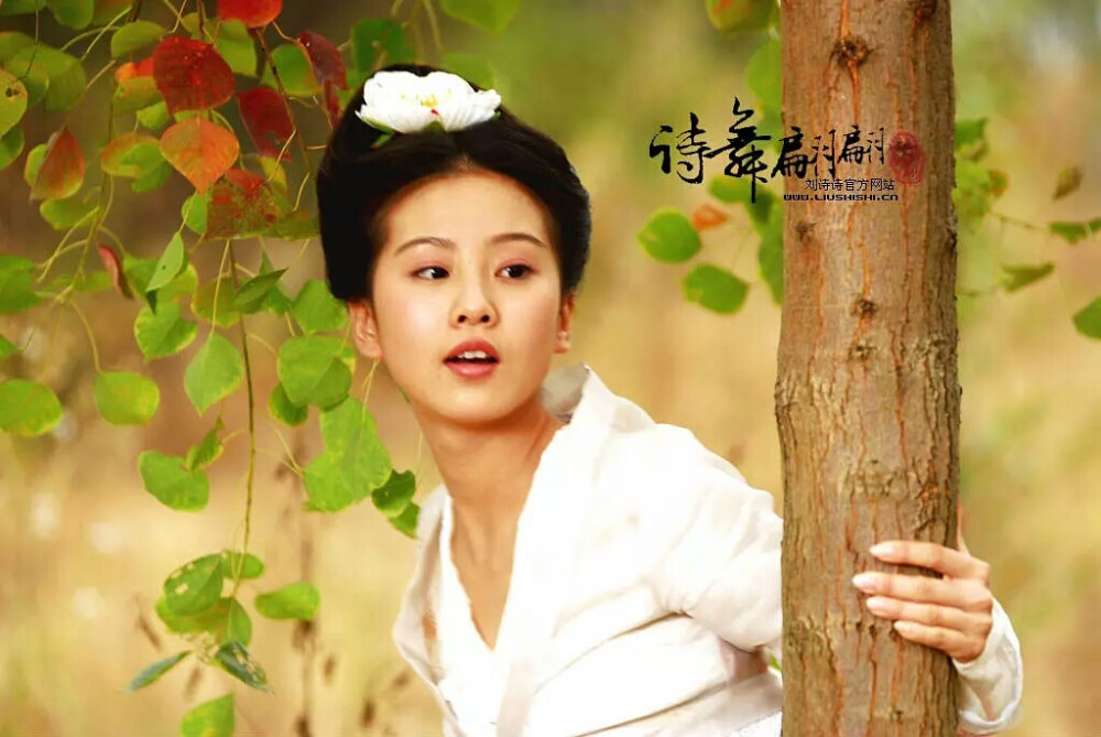 刘诗诗 辛十四娘