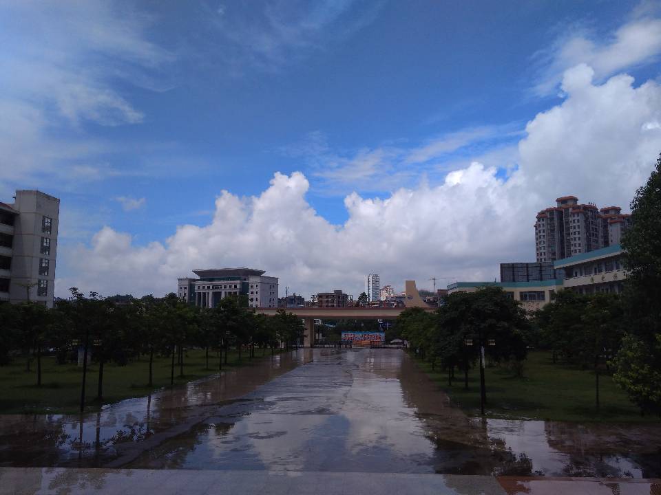 你知道吗，那张纸上被我工工整整地写下四个字，小心翼翼地贴在书桌前，又猛然愤恨地撕下，揉成一团，扔进垃圾桶。看了一眼，又不争气地捡起来，展开，贴好。
我高一高二的时候，一直不知道自己想要的是什么，直到高考了，还是浑浑噩噩的过着，所以才会用追星来麻痹自己的失意落寞，活在不知所以的世界里。
我不知道自己是怎样成长的，也许就是在那些我们都忽略了的时光里， 在某一刻发呆中，谁也不知道，但我就长大了吧