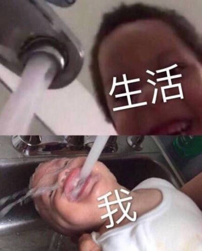 表情包