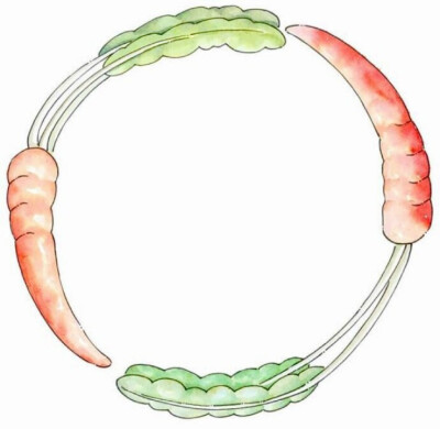 手帐 边框 素材