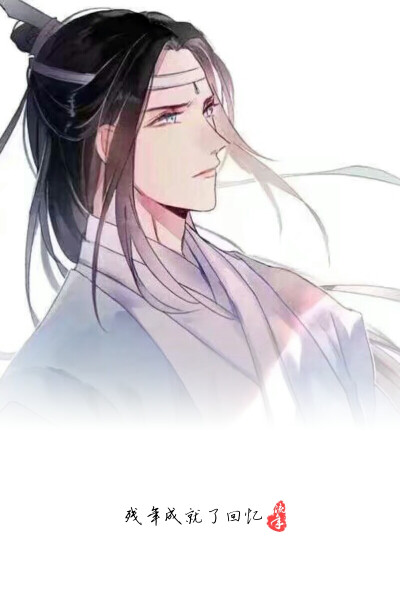 魔道祖师，魏无羡，蓝忘机