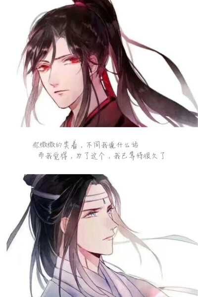 魔道祖师，魏无羡，蓝忘机