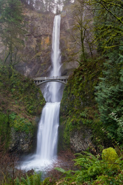 美国马尔特诺马瀑布
美国马尔特诺马瀑布（Multnomah Falls）位于俄勒冈州马尔特诺马县，是俄勒冈的一个知名旅游景点，每年都会吸引很多游客到此驻足欣赏美景。