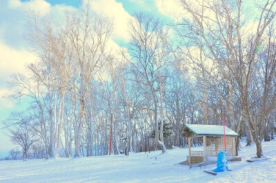 郊外的美丽雪景图片
一夜大雪重新创造了天地万物，世界变成了一座洁白的宫殿。雪落在地上，落在石头上,落在树枝上，落在一切期待着的地方。