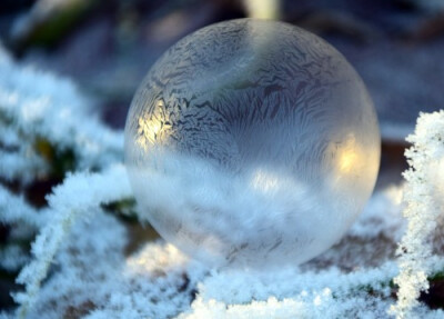 美丽的雪花图片
雪花是冬的名片，雪花纷纷扬扬地飘落下来，像一个个纯洁的小天使降落到人间，给人们祝福。