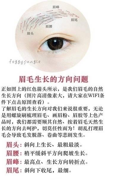 【標(biāo)準(zhǔn)定位畫眉法】
找不到眉峰眉尾在哪的妹紙學(xué)起~ ???