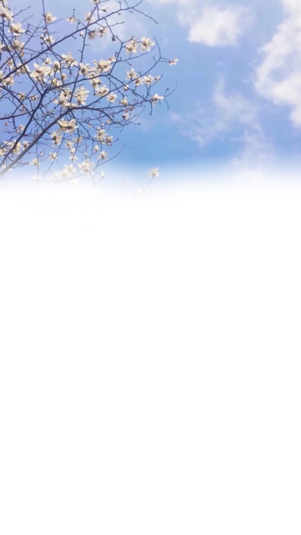 白底QQ空间背景=白底空间背景怎么设置