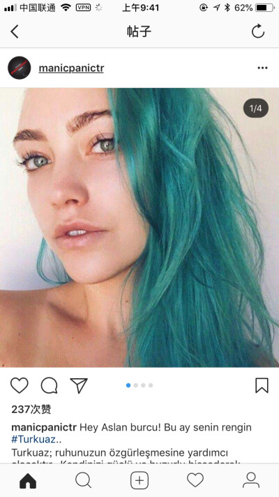 Hair Dye 染发颜色 来自insgram 截图 