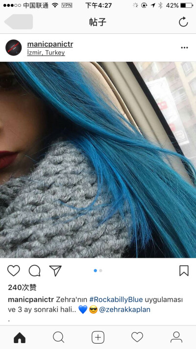 Hair Dye 染发颜色 来自insgram 截图 