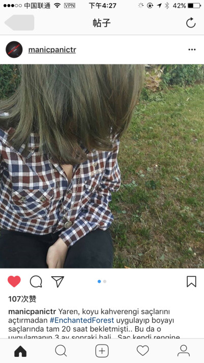 Hair Dye 染发颜色 来自insgram 截图 