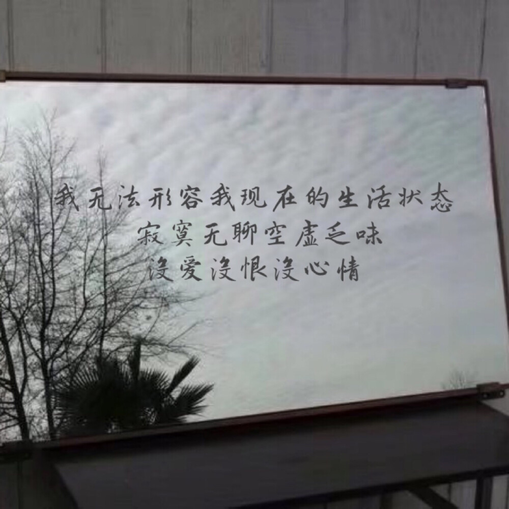 
“我无法形容我现在的生活状态
寂寞无聊空虚乏味
没爱没恨没心情” ​​​​