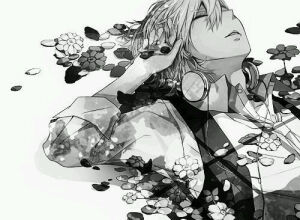 白和黑的美   静享