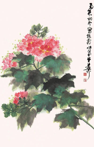 “ 芙蓉花 ” 丨谢稚柳 · 绘 ​​