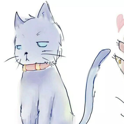 猫扑 - 高清图片，堆糖，美图壁纸兴趣社区