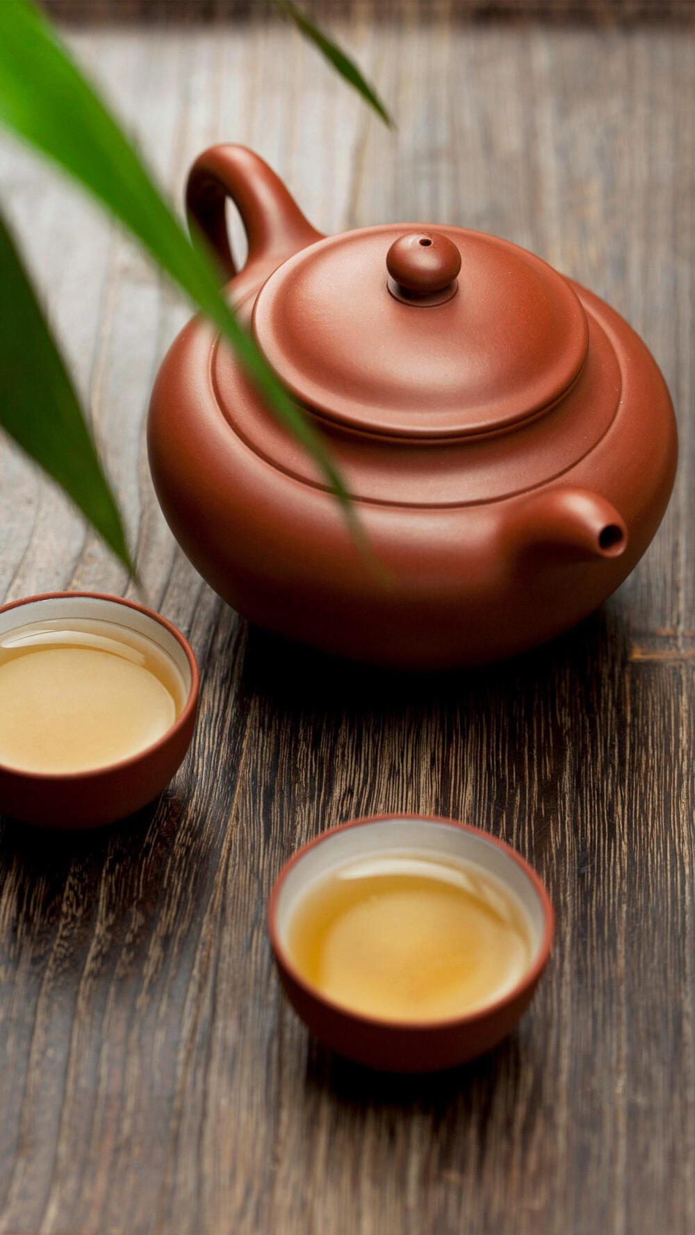 茶- 堆糖,美图壁纸兴趣社区