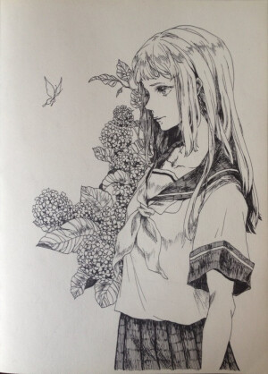 白和黑的美  残蝶