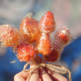 【初味日记】草莓冰糖葫芦