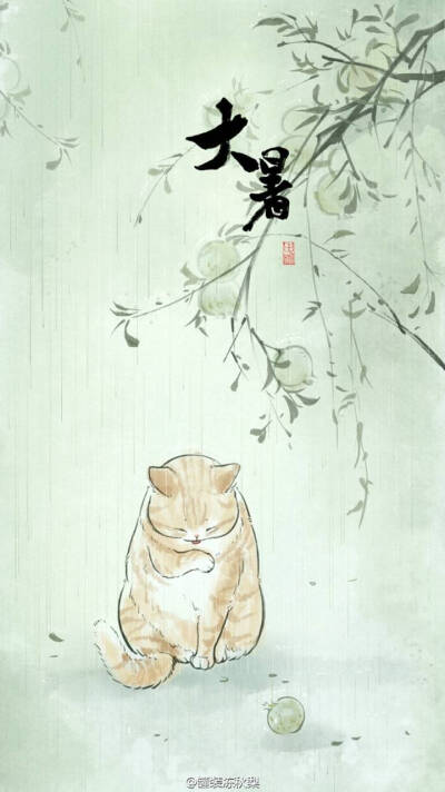 节气——猫(^･ｪ･^)