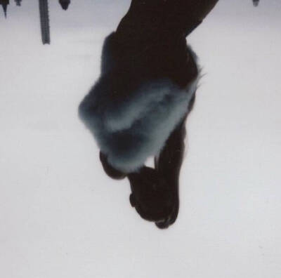 a妹爱莉杏菜Ariana Grande 