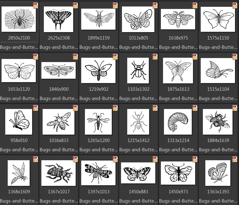 复古黑白昆虫蝴蝶树牛蜻蜓螳螂蚂蚁蜘蛛线稿图AI PNG素材png318