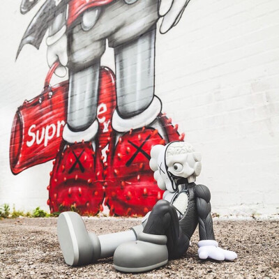 Pidan｜KAWS