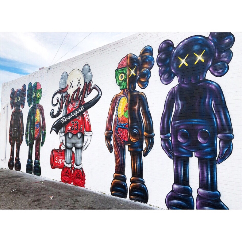 Pidan｜KAWS