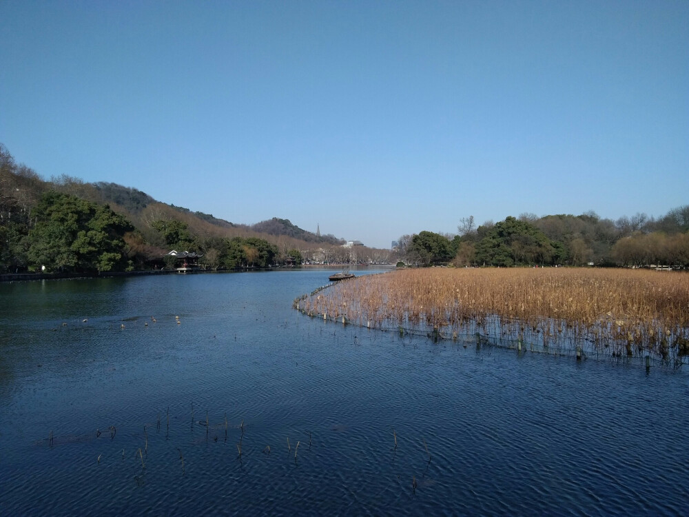 2018-2-13 城市:杭州 关键词:杭州地铁二号线、西湖、西泠印社 天气:晴
今天，妈妈和妹妹中午到达杭州家里，回杭州这几天我一直没有时间离开小区到西湖转转，也没有时间体验第一次乘坐杭州地铁二号线的感觉，这些我没时间做的事下午终于实现了。妈妈和我一起离开小区去外面游玩，我坐到杭州地铁二号线的感觉，真的和坐北京地铁二号线的感觉不一样，毕竟是第一次乘坐，不能不提有多么开心。还有一件事，今天我第一次去探访西泠印社，毕竟这几天看到了西泠印社最新消息对西泠印社产生了兴趣，妈妈她在断桥小学读书的那段时候经常去探访西泠印社。这一天下午，我不仅是第一次坐到杭州地铁二号线，又坐到了西湖观光电瓶车，还经过武林商街龙游路喝了奶茶吃了羊肉串，我感觉真是特别爽，特别满足。这张照片是我在坐杭州地铁二号线从小区旁边的墩祥街站到学院路站地铁上拍的一张照片，算是与杭州地铁二号线结缘了吧。