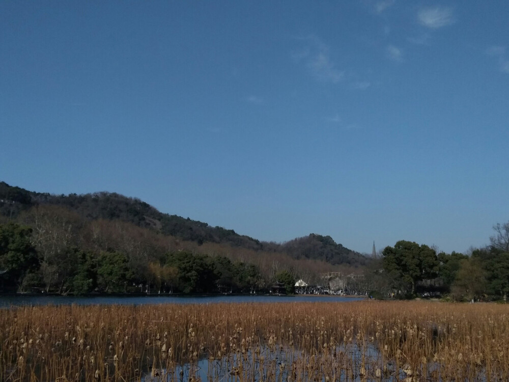 2018-2-13 城市:杭州 关键词:杭州地铁二号线、西湖、西泠印社 天气:晴
今天，妈妈和妹妹中午到达杭州家里，回杭州这几天我一直没有时间离开小区到西湖转转，也没有时间体验第一次乘坐杭州地铁二号线的感觉，这些我没时间做的事下午终于实现了。妈妈和我一起离开小区去外面游玩，我坐到杭州地铁二号线的感觉，真的和坐北京地铁二号线的感觉不一样，毕竟是第一次乘坐，不能不提有多么开心。还有一件事，今天我第一次去探访西泠印社，毕竟这几天看到了西泠印社最新消息对西泠印社产生了兴趣，妈妈她在断桥小学读书的那段时候经常去探访西泠印社。这一天下午，我不仅是第一次坐到杭州地铁二号线，又坐到了西湖观光电瓶车，还经过武林商街龙游路喝了奶茶吃了羊肉串，我感觉真是特别爽，特别满足。这张照片是我在坐杭州地铁二号线从小区旁边的墩祥街站到学院路站地铁上拍的一张照片，算是与杭州地铁二号线结缘了吧。