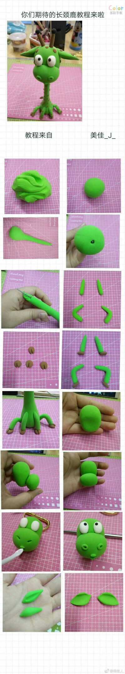 小动物