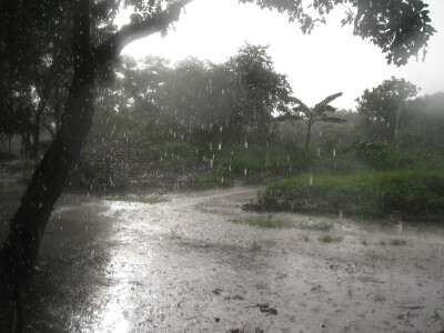 连雨不知春去，一晴方觉夏深。