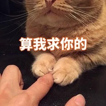 _(:3」∠)_
小猫咪以及小猫咪表情包呀