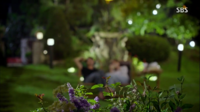 没关系是爱情啊