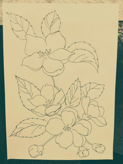 线描
