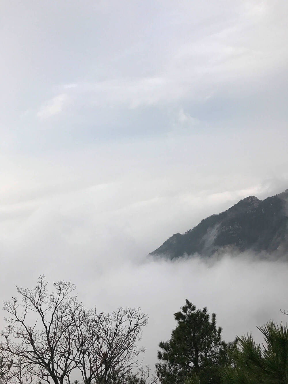 桌面 壁纸 背景 山 云 雾