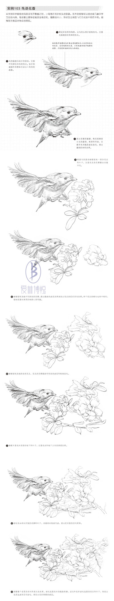 素描教程。简单。