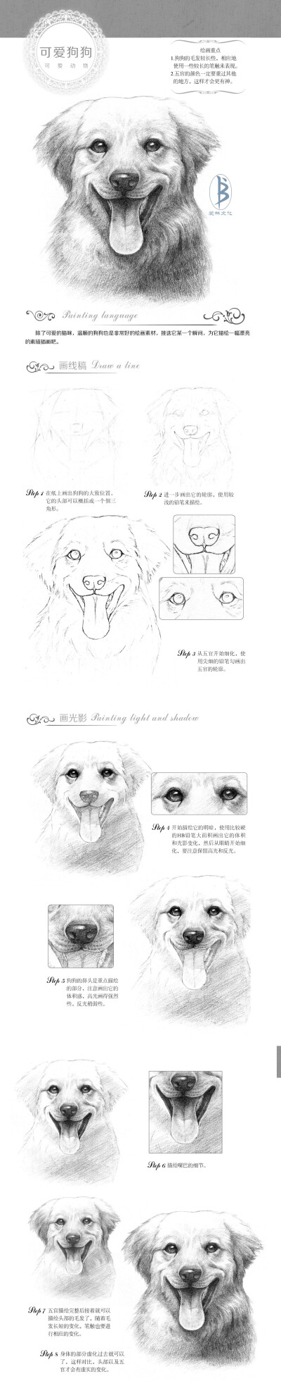 狗素描教程。