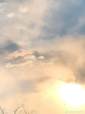 那里有看不完的盛景
这里有我的满怀深情。 
