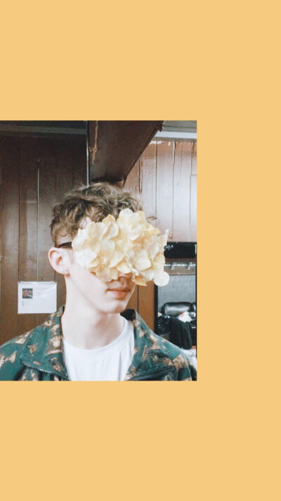 troye sivan 戳爷 戳鹅