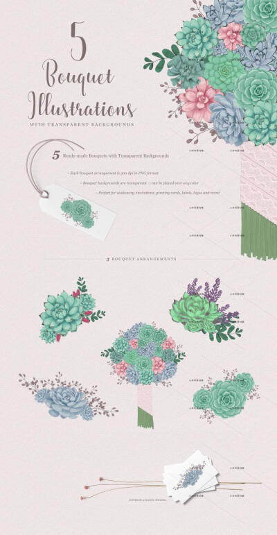 手绘绿色多肉花朵装饰边框花束盆栽植物四方连续背景素材png319