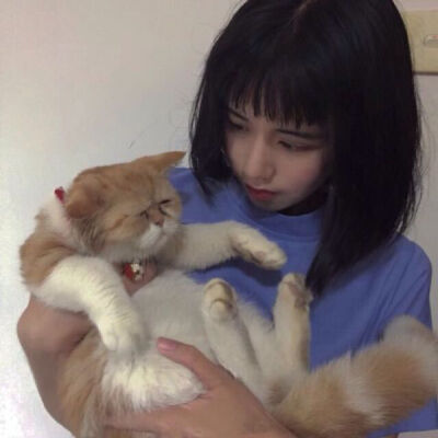 把一见钟情还给我吧