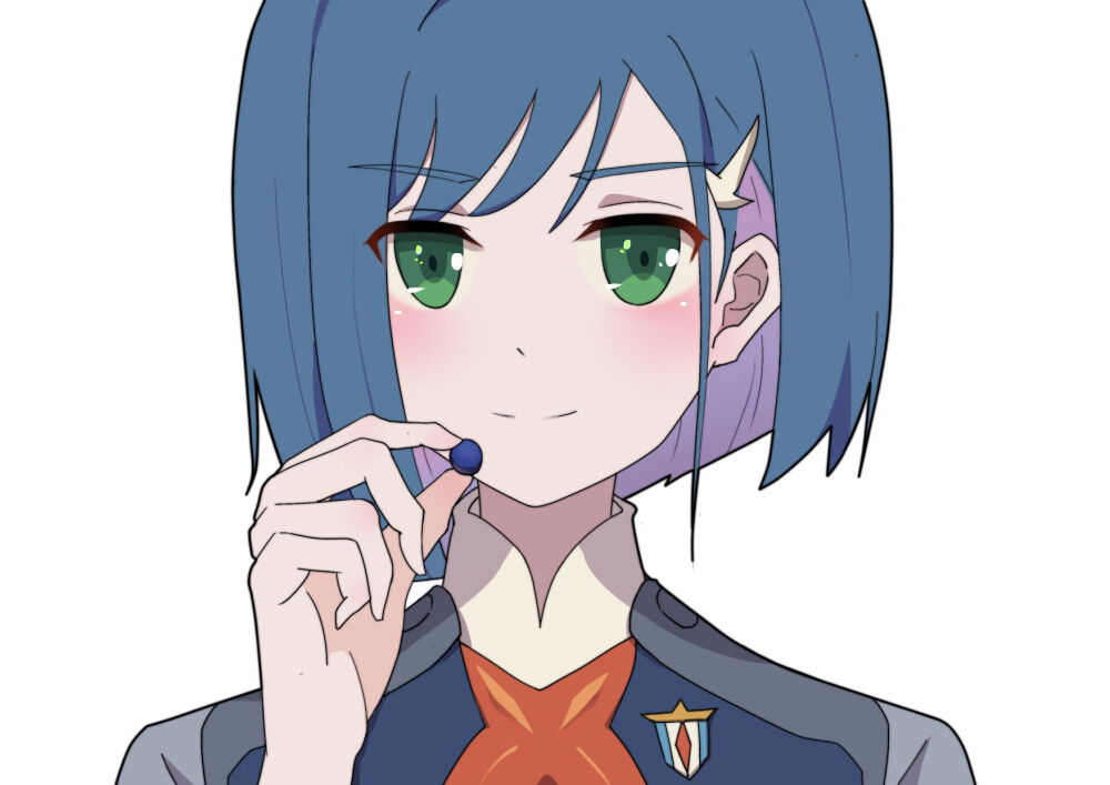 DARLING in the FRANXX
国家队