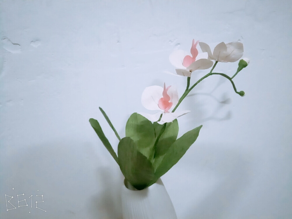 纸藤花，纸藤牡丹，纸藤蝴蝶兰