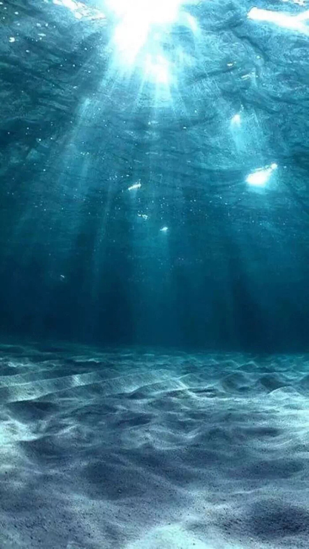 海