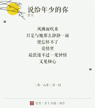 『说给年少的你』两层意思: 说给少年你听，和说给年少时的自己听。主要表达作者对喜欢与爱的定义。——图片与内容来自于APP【萝卜书摘】，作者:墨月。